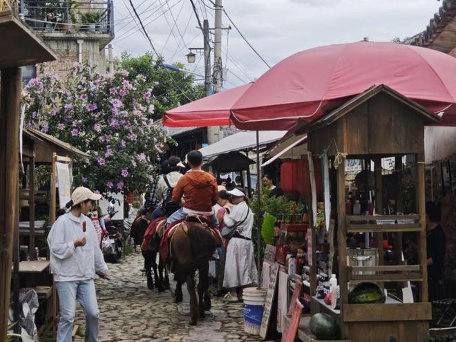 “留量”艺术扎根结出“金果子”麻将胡了模拟器试玩凤阳邑流量变(图3) “留量”艺术扎根结出“金果子”麻将胡了模拟器试玩凤阳邑流量变(图3)
