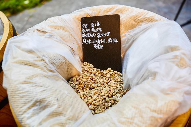 体验咖啡文化深入了解背后的文化故事麻将胡了2试玩网站普洱北归咖啡庄园(图1)