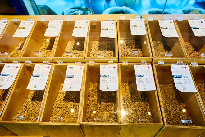 体验咖啡文化深入了解背后的文化故事麻将胡了2试玩网站普洱北归咖啡庄园(图3)