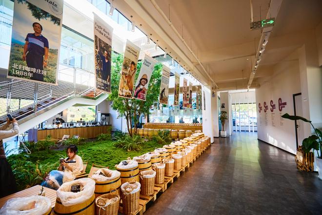 体验咖啡文化深入了解背后的文化故事麻将胡了2试玩网站普洱北归咖啡庄园(图2)