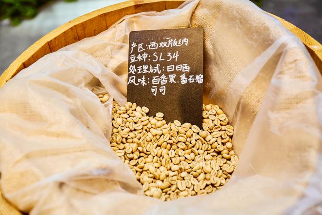 体验咖啡文化深入了解背后的文化故事麻将胡了2试玩网站普洱北归咖啡庄园(图7)