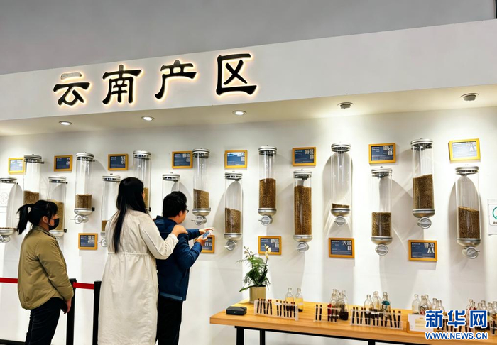 云南昆明：“体验式消费”激活文旅动能